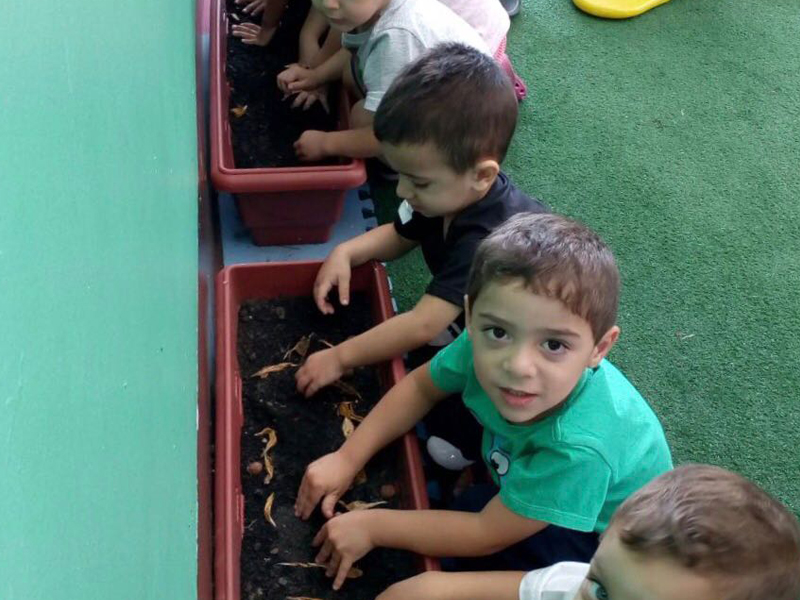 Galeria Escola Castelo Encantado